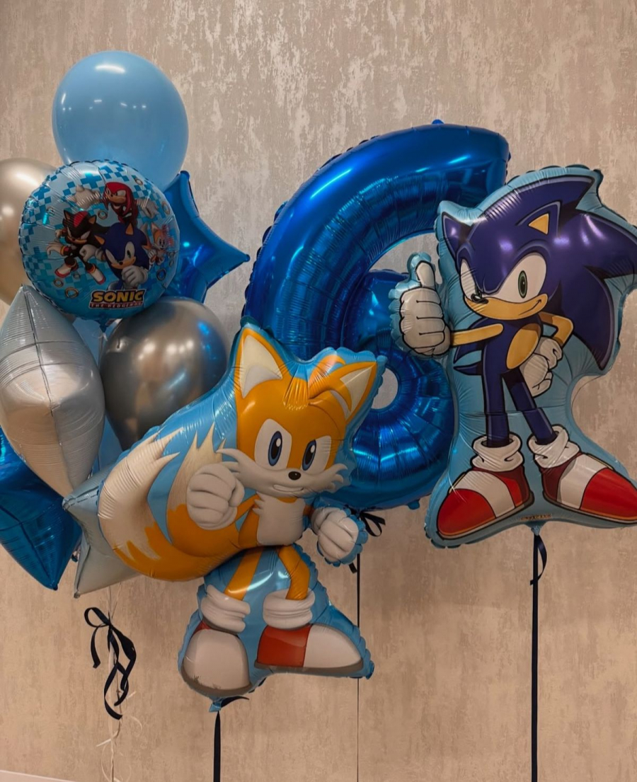 Композиция «Тейлз и Соник в гостях»